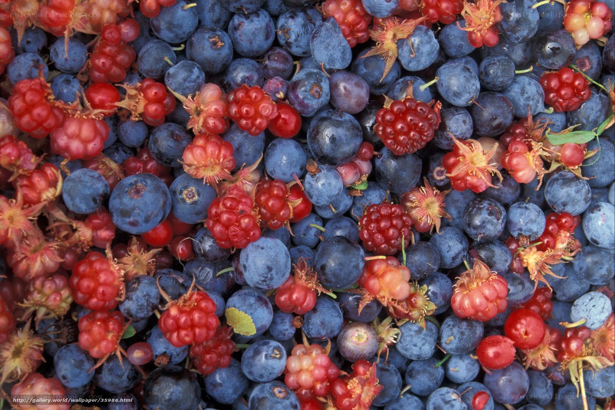 blueberries and raspberries