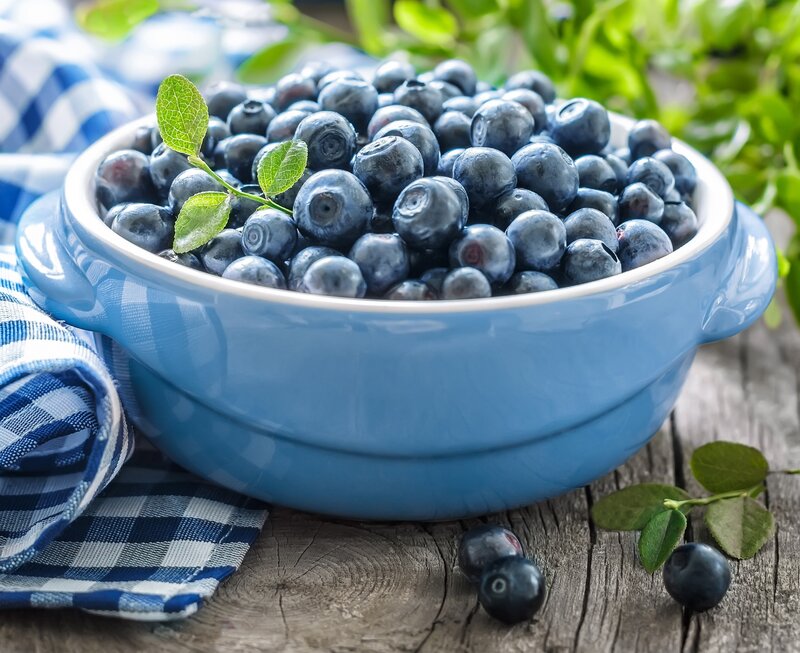 Blueberries in a Bowl — Blue, Fresh