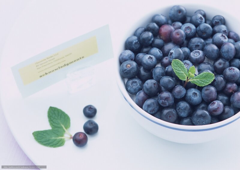 Blueberries in a Bowl — White, Calm, Photograph