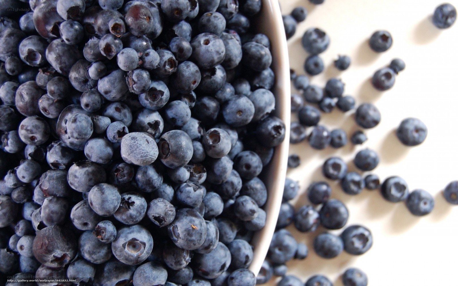 Blueberries in a bowl