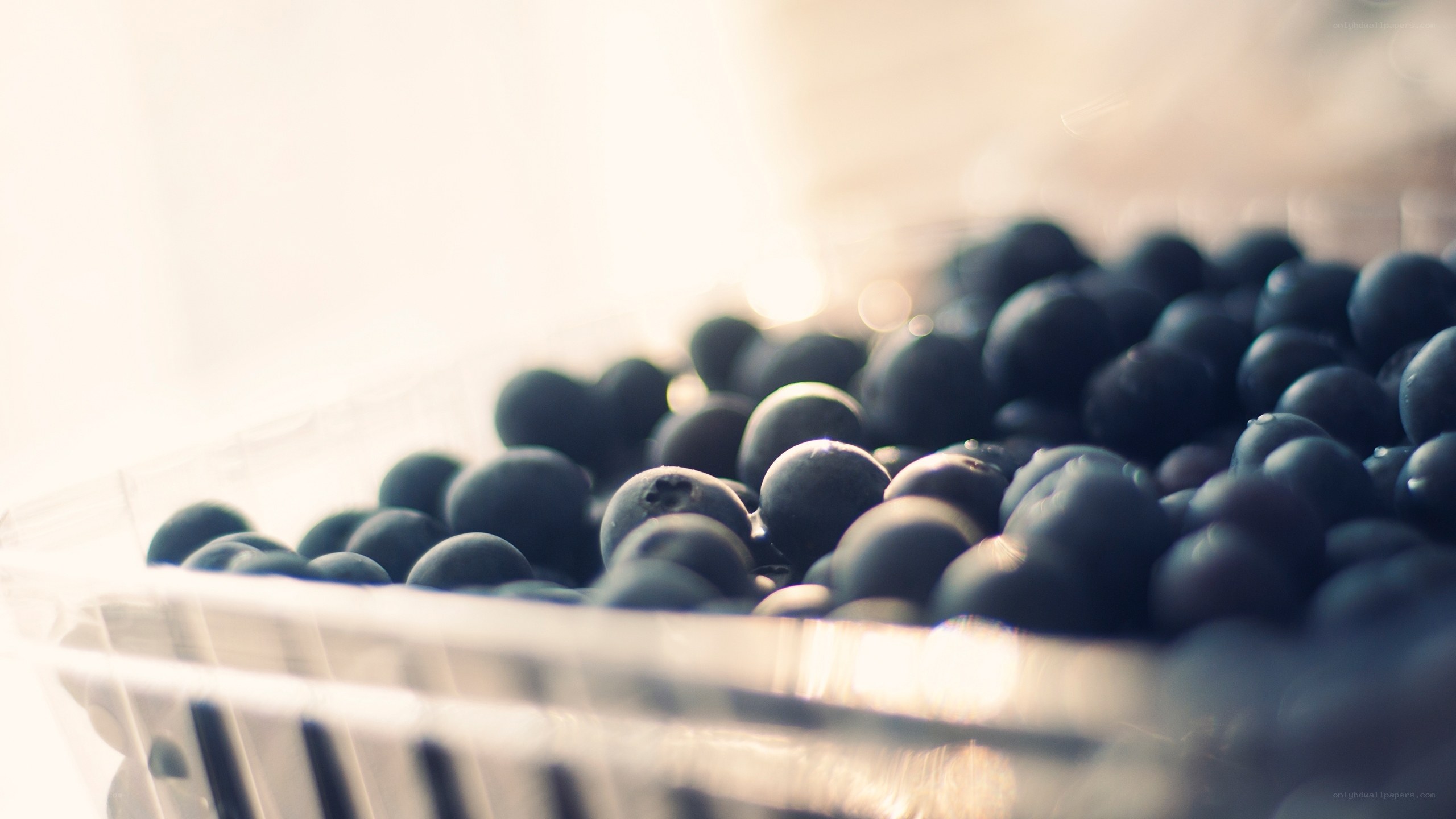 Blueberries in a container