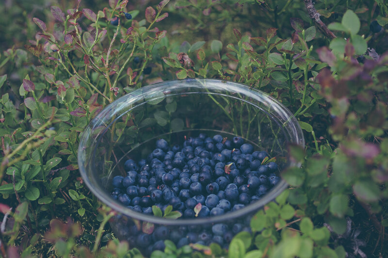 Blueberries in a glass bowl