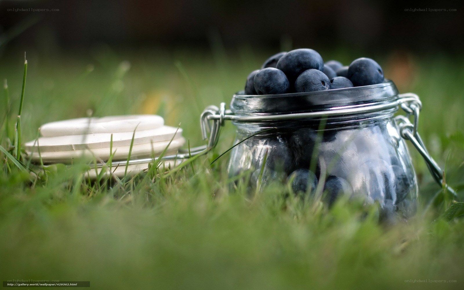 Blueberries in a jar on grass