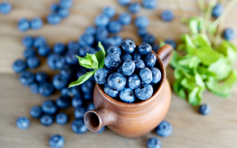 Blueberries in a Pot
