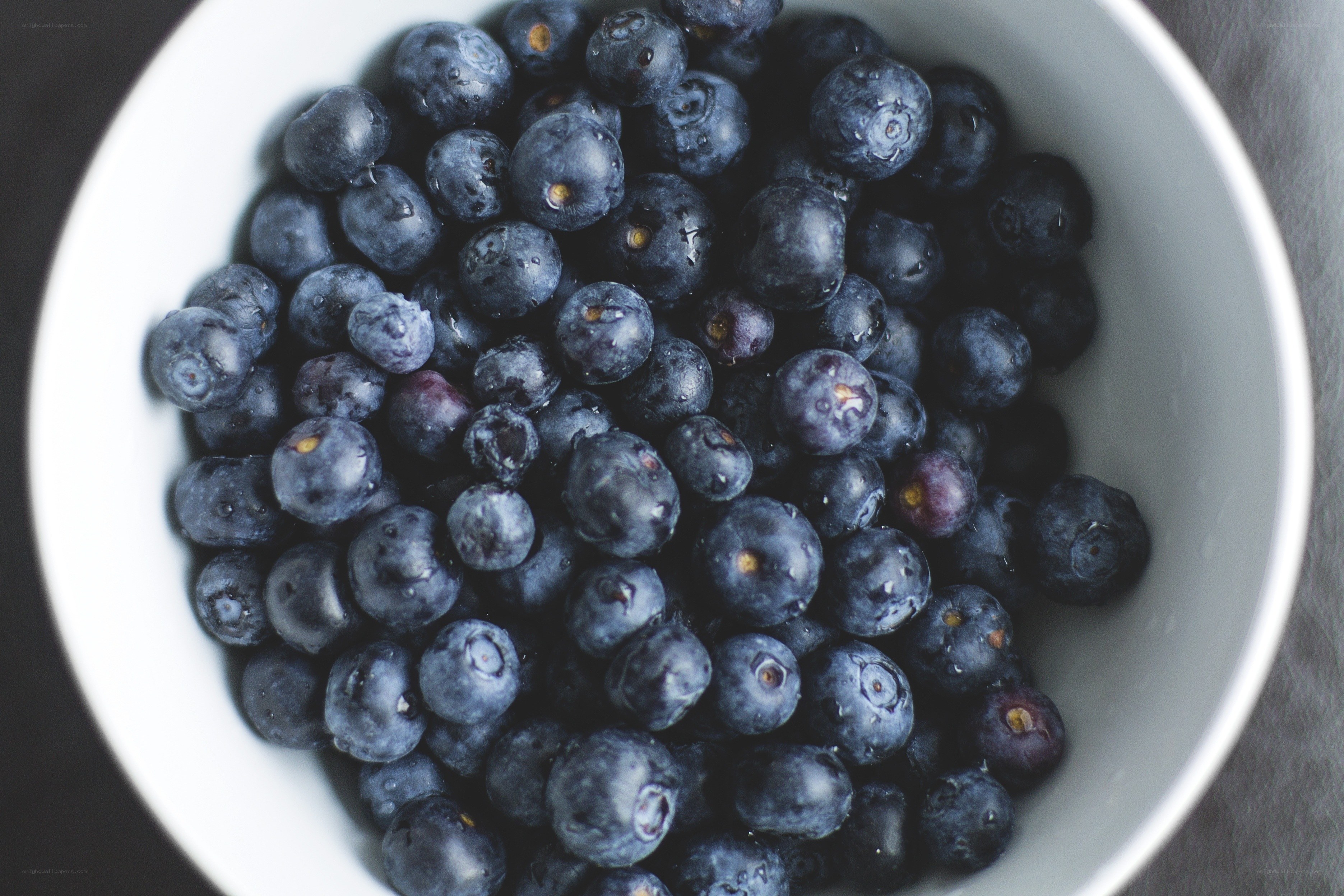 blueberries in a white bowl