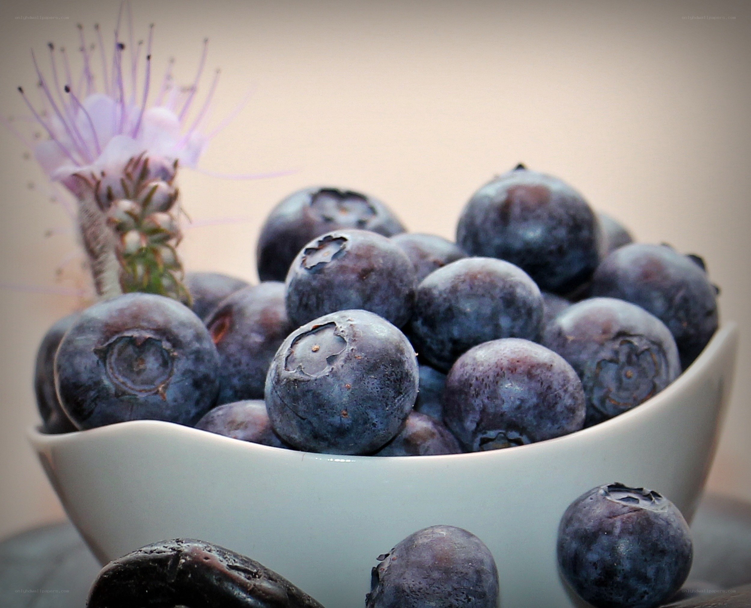 Blueberries in a white bowl