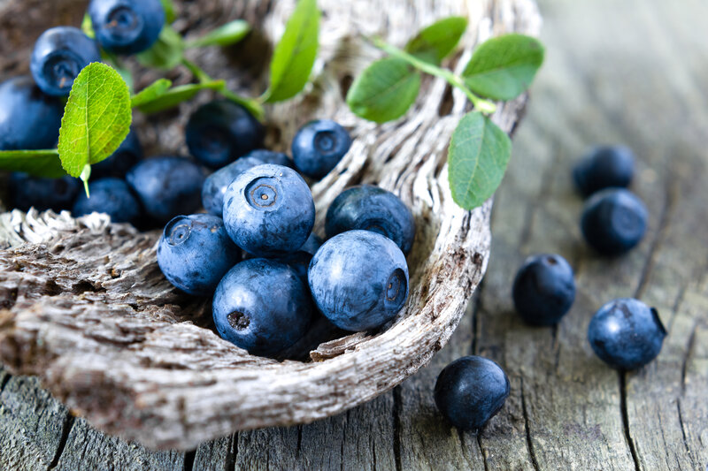 Blueberries in Driftwood Bowl