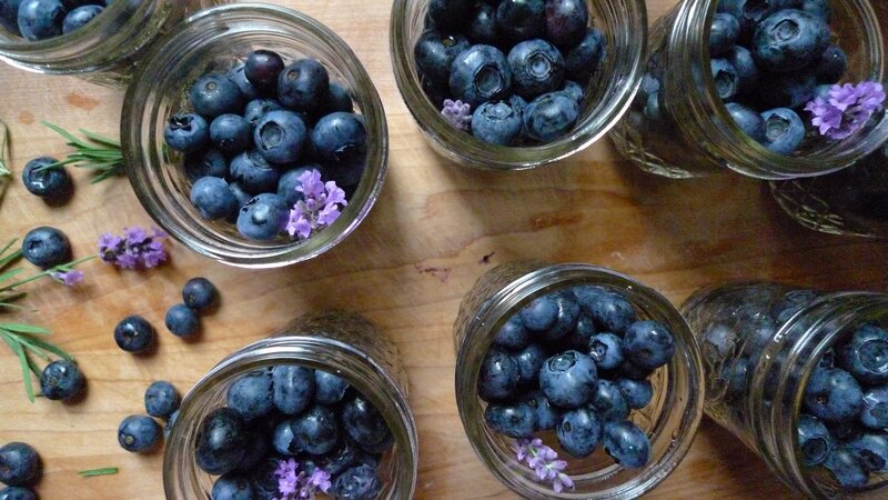 Blueberries in Jars