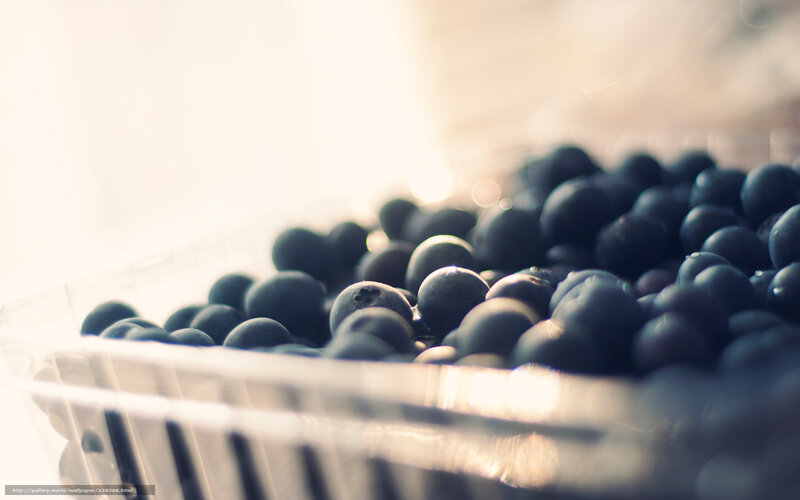 Blueberries in Plastic Container