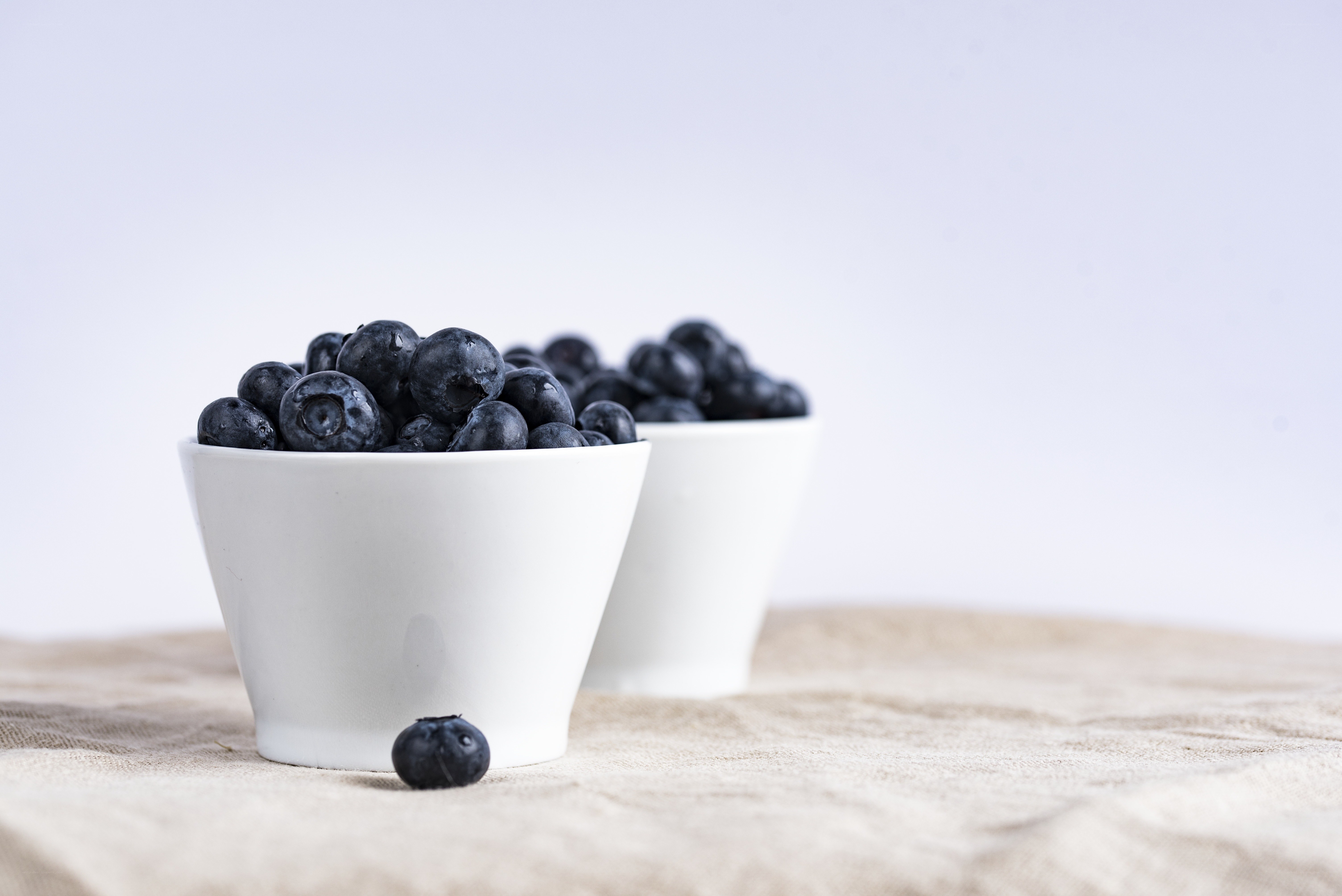 Blueberries in white bowls