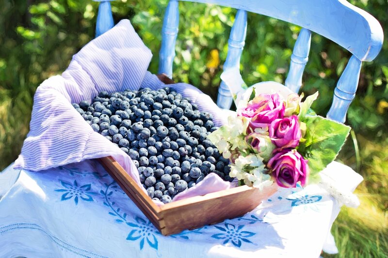Blueberries in Wooden Basket