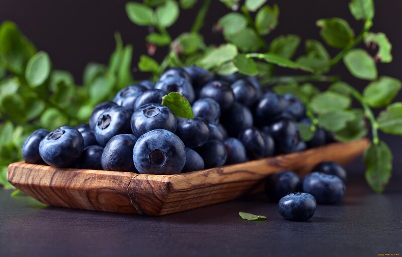 Blueberries in Wooden Bowl — Blue, Natural, Photograph