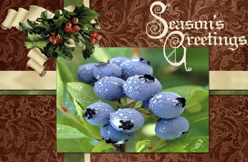 Blueberries on a Branch — Green