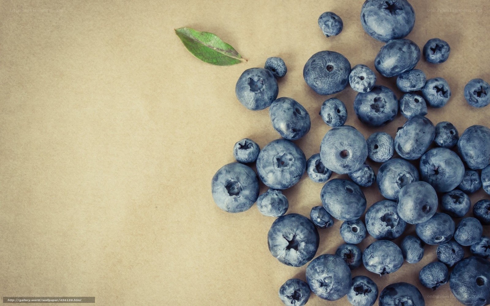 blueberries on brown paper