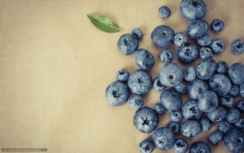 Blueberries on Brown Paper — Natural
