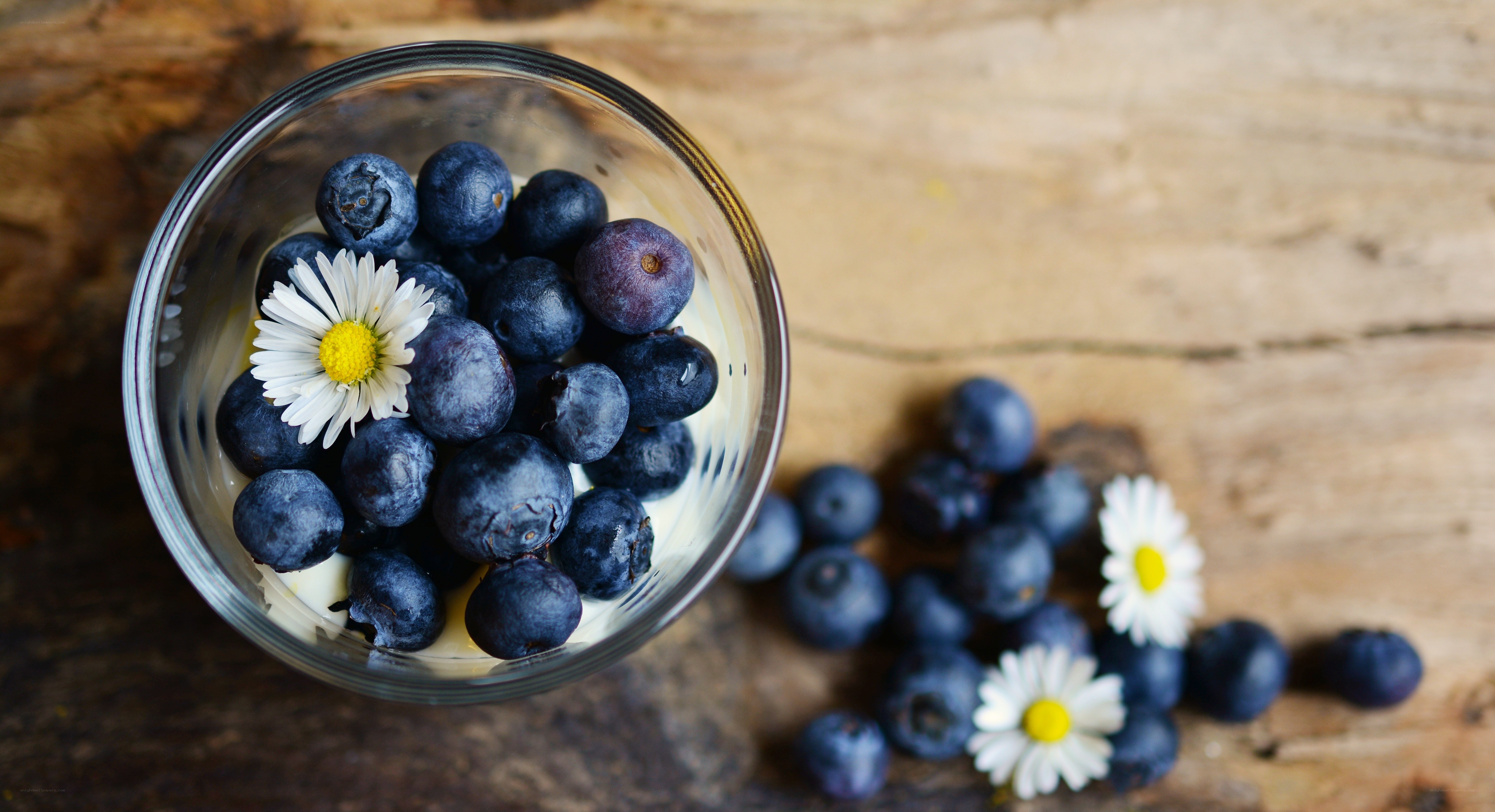 blueberries with daisies in glass