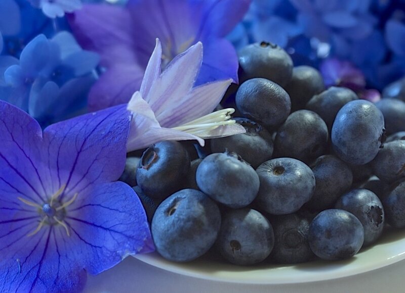 Blueberries with Flowers