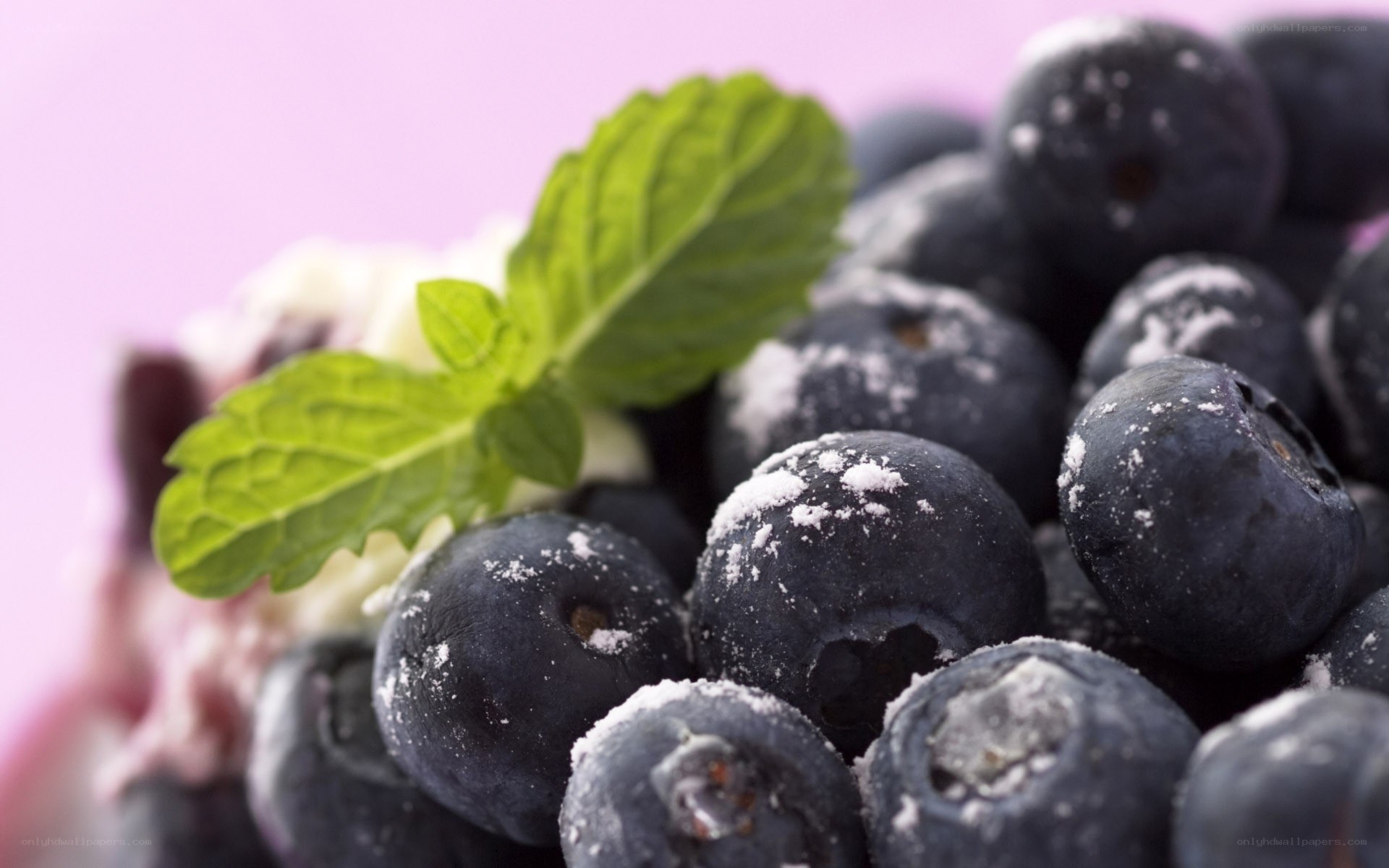 Blueberries with mint and powdered sugar