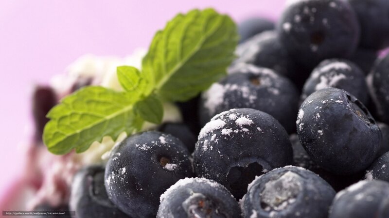 Blueberries with Mint — Purple, Fresh