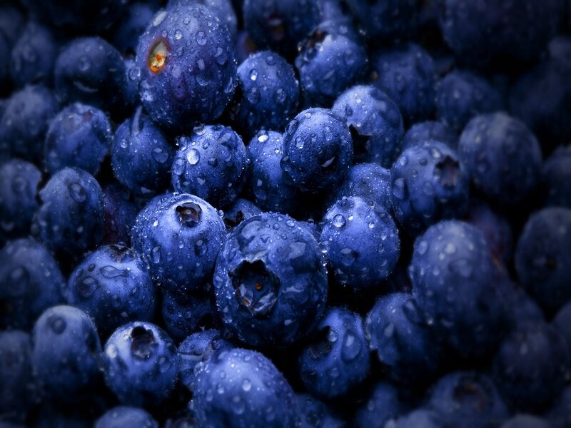 Blueberries with Water Droplets — Blue, Dramatic, Photograph