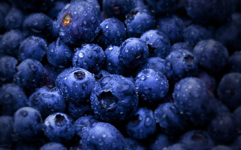 Blueberries with Water Droplets — Blue, Dramatic, Photograph, Water Droplets