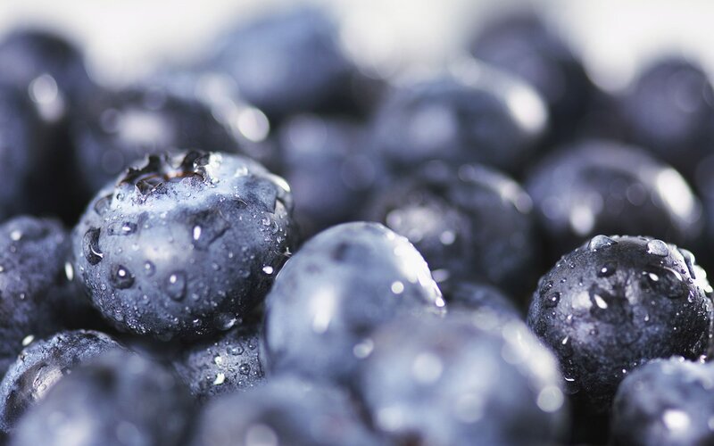 Blueberries with Water Droplets — Blue, Fresh, Photograph, Water Droplets