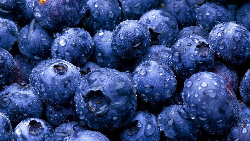 Blueberries with Water Droplets — Blue, Fresh