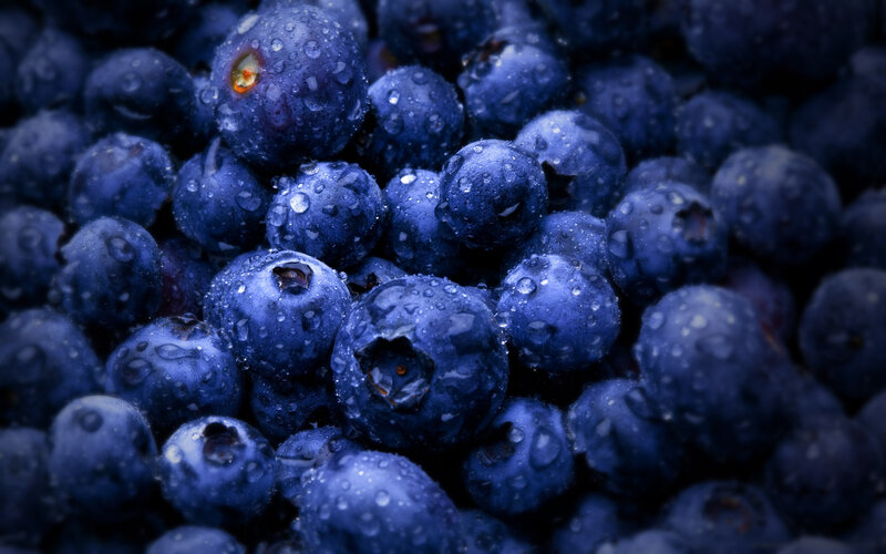 Blueberries with Water Droplets — Blue
