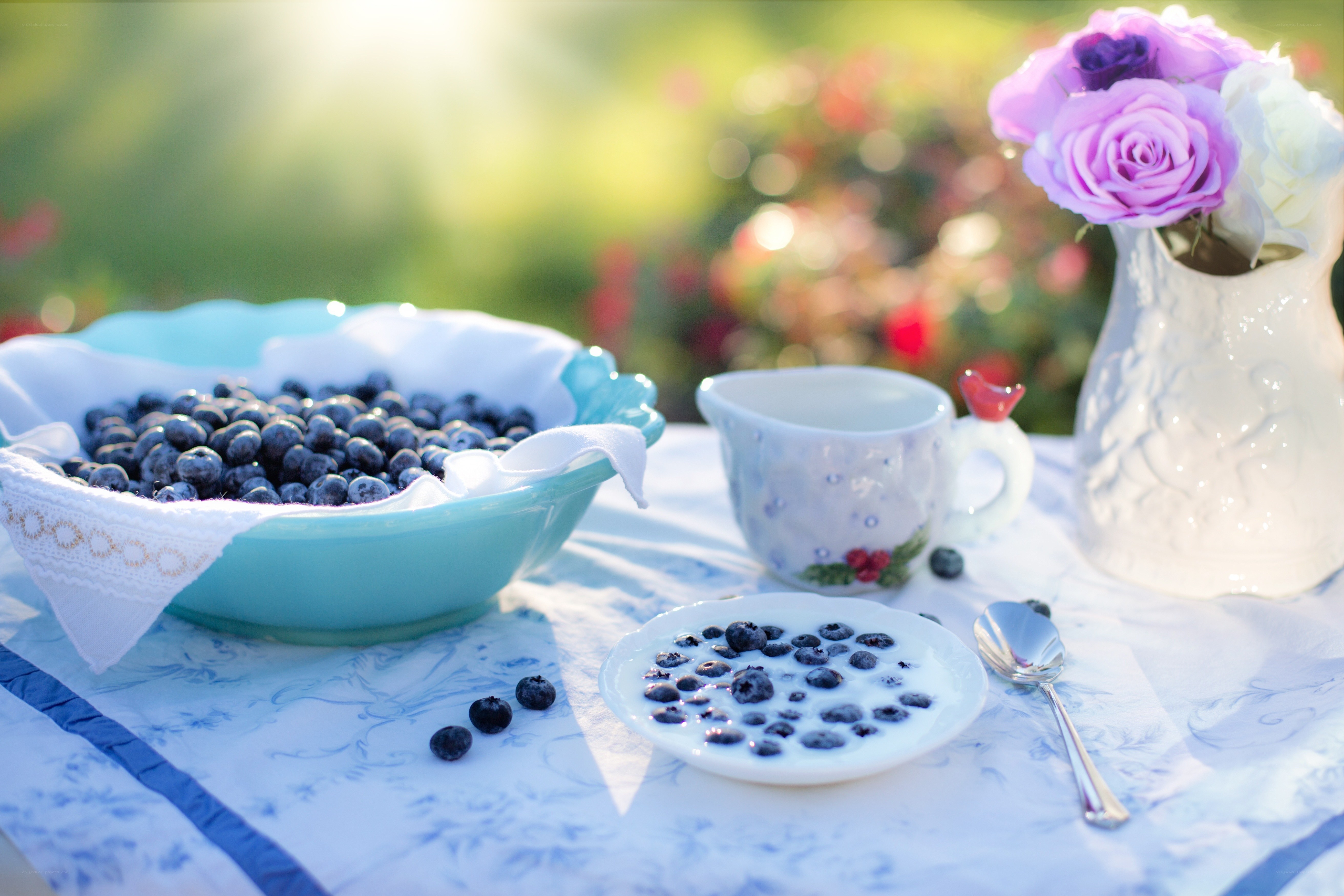 Blueberry breakfast outdoors