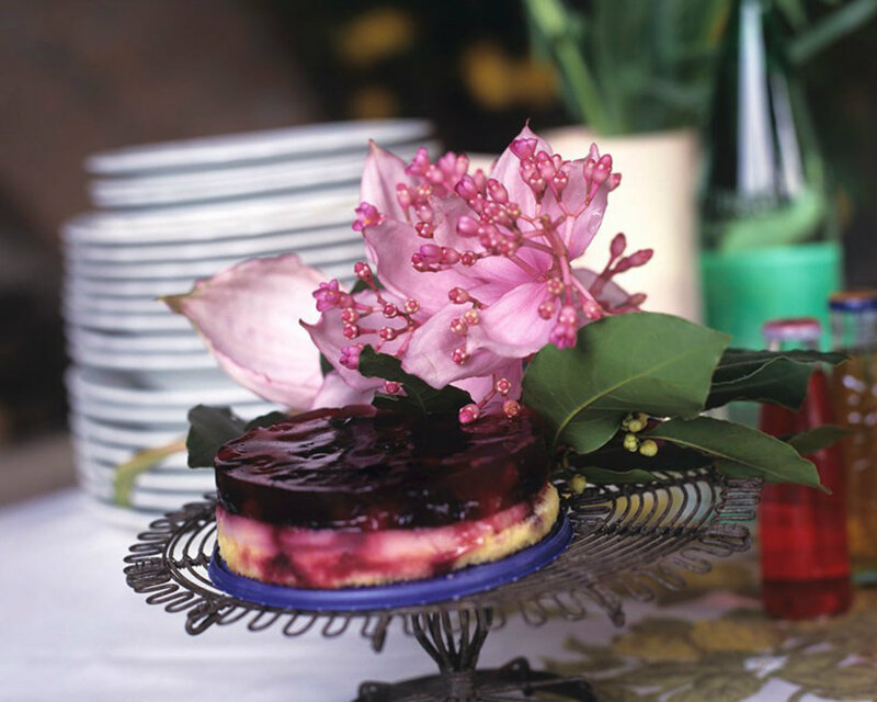 Blueberry Cheesecake — Pink