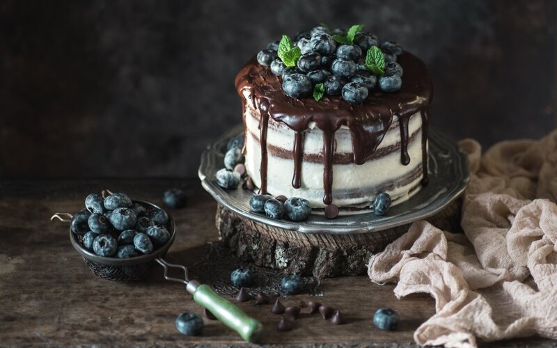 Blueberry Chocolate Cake — Brown, Dramatic