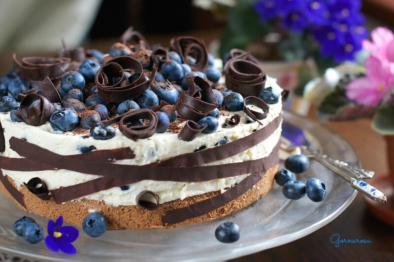 Blueberry Chocolate Cake — White