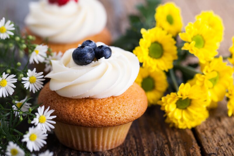 Blueberry Cupcake with Frosting