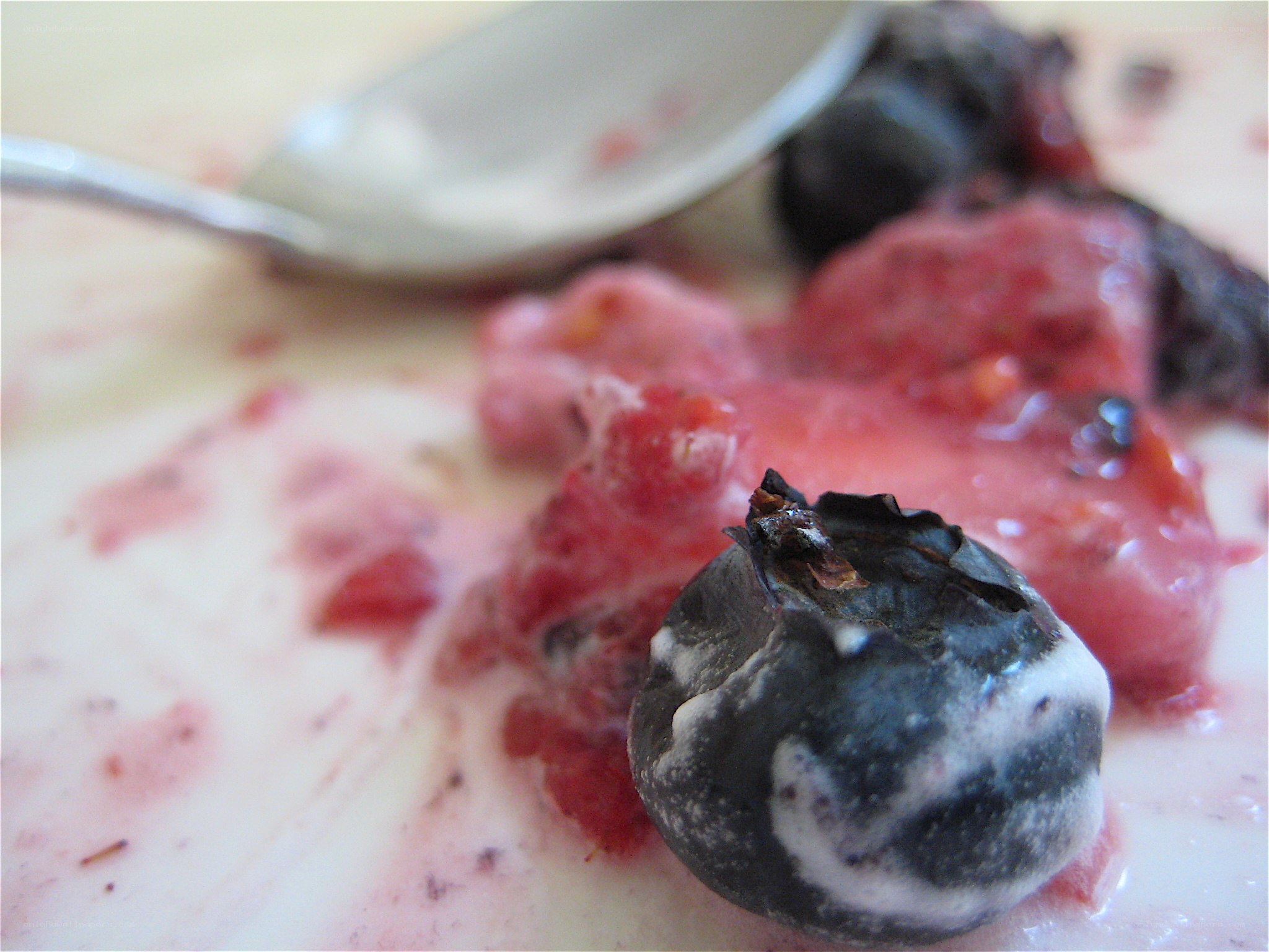 blueberry dessert close-up