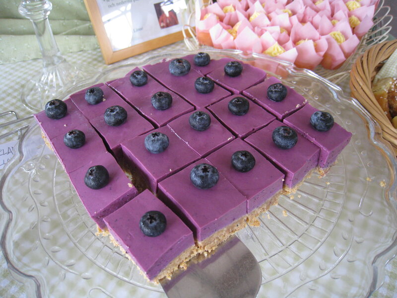 Blueberry Dessert Squares