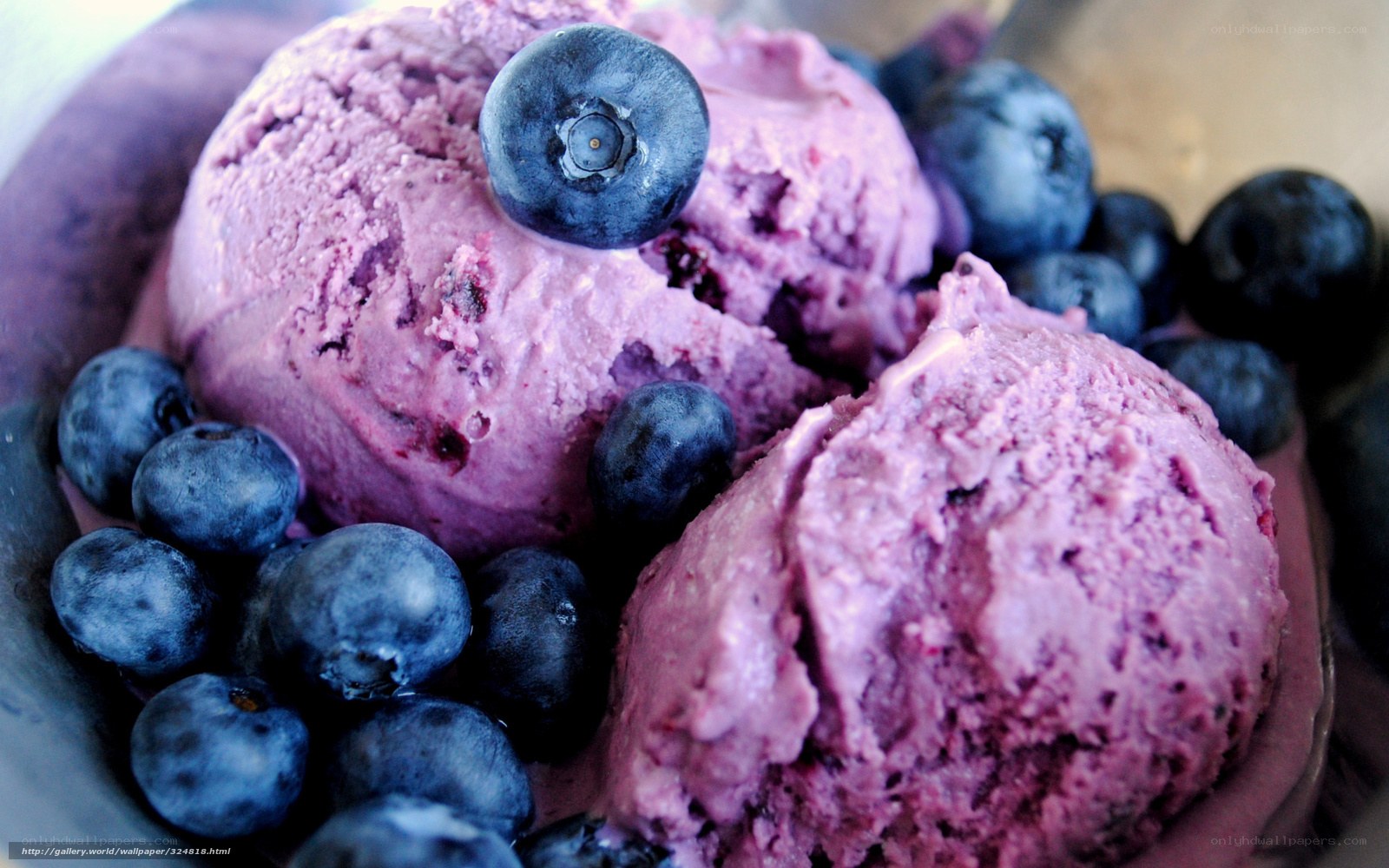 blueberry ice cream dessert