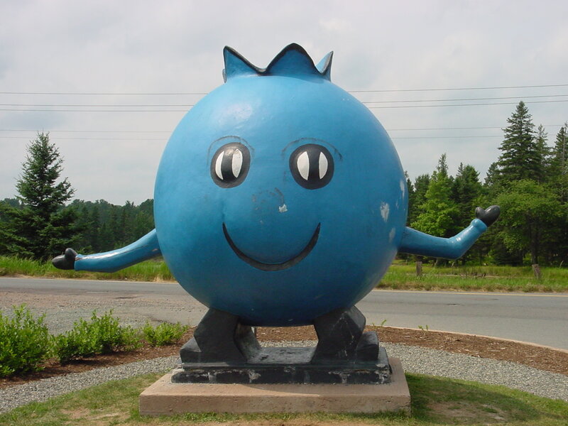 Blueberry mascot statue