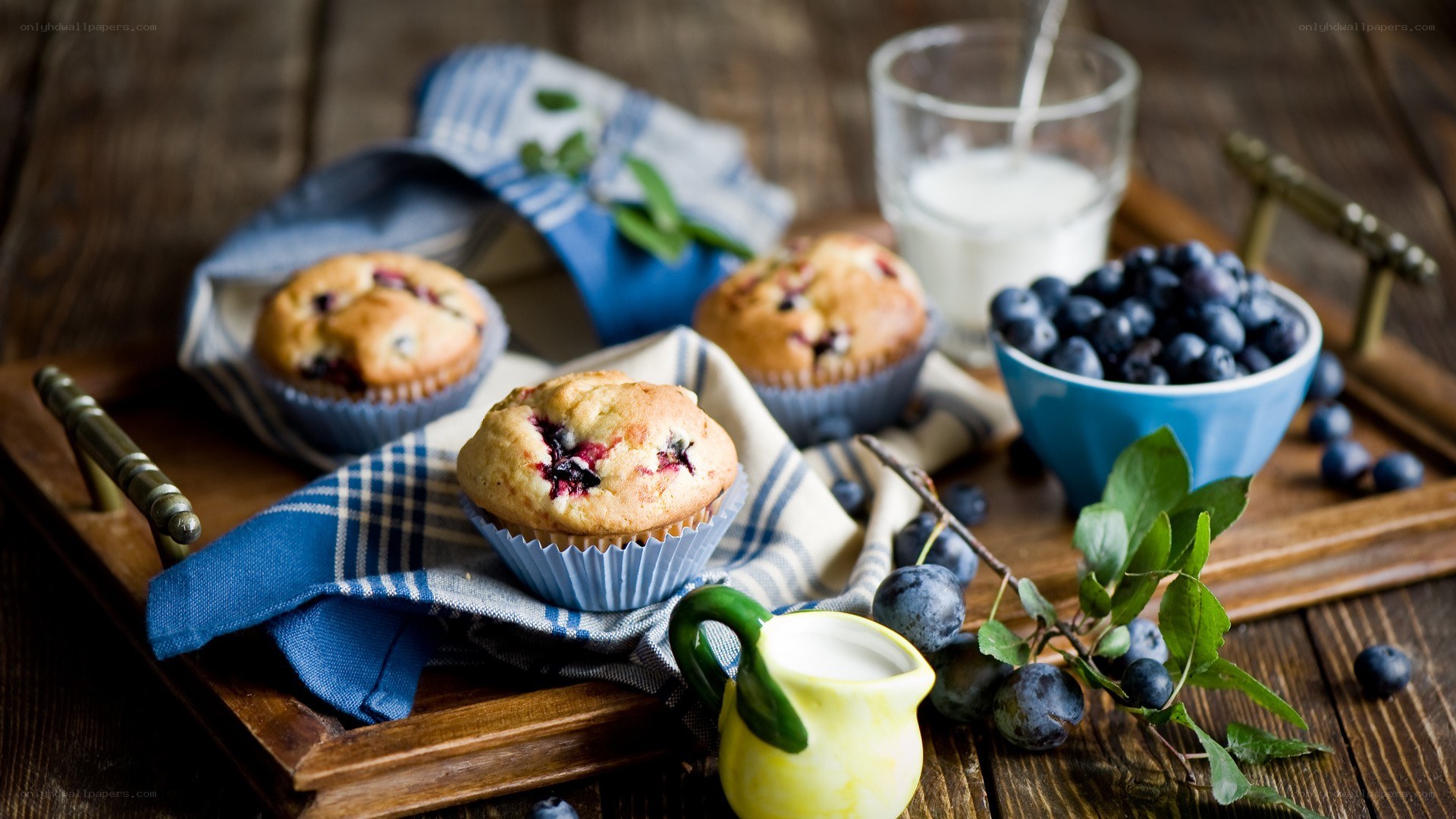 Blueberry muffins on a tray