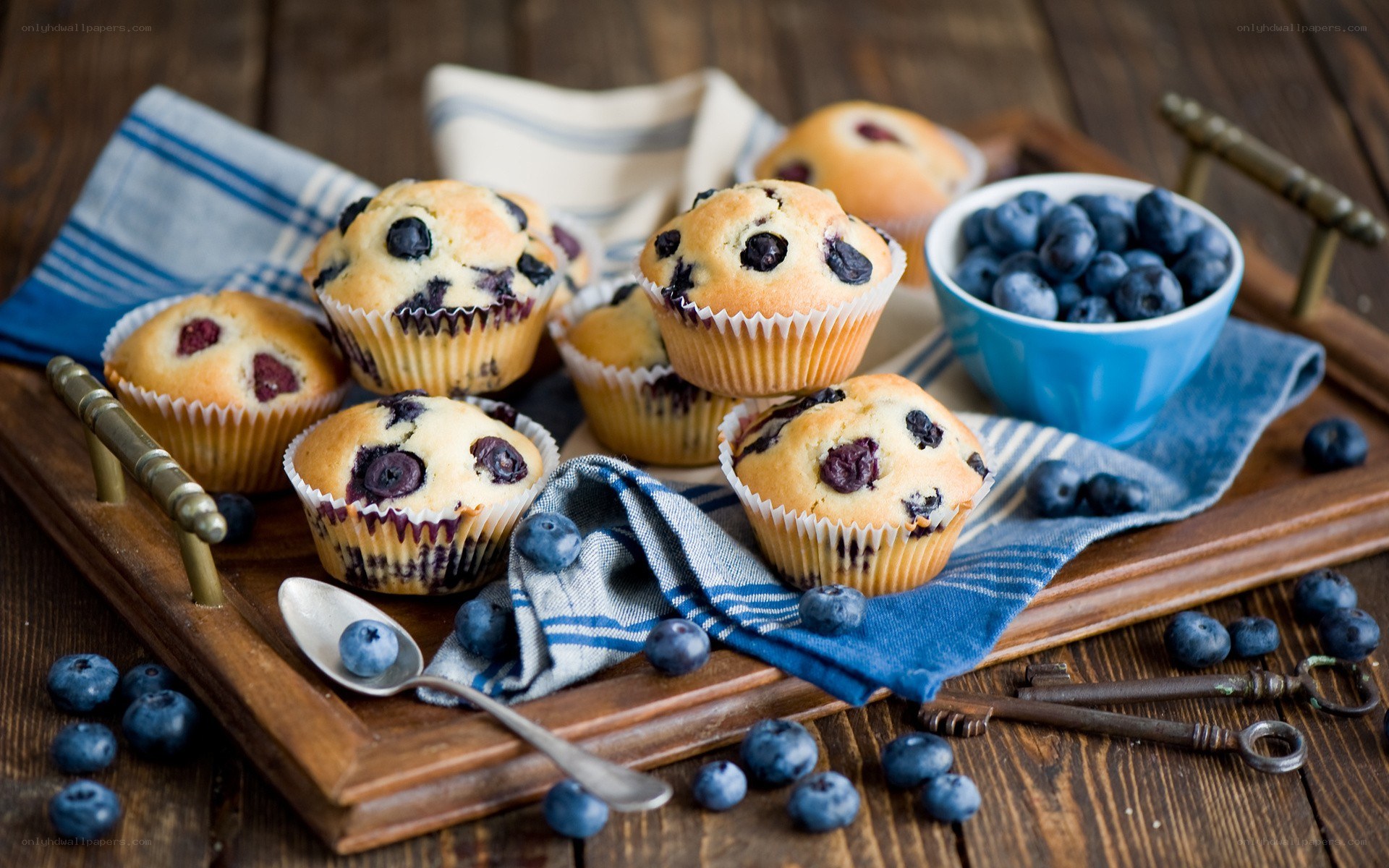 Blueberry muffins on a tray