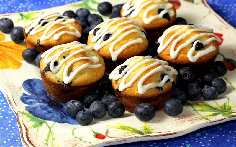 Blueberry Muffins on Plate — Blue