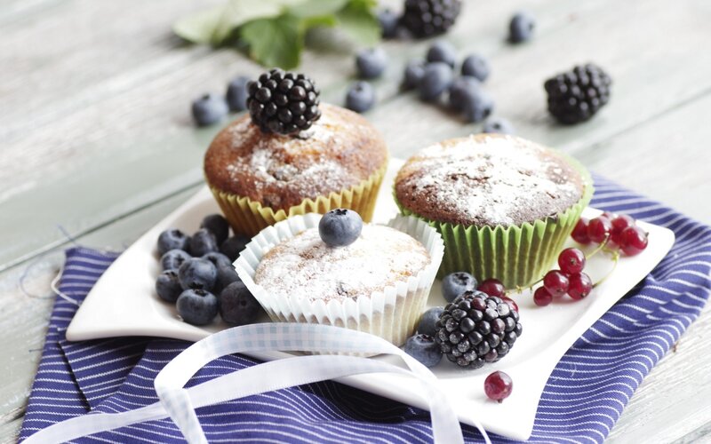 Blueberry Muffins on Plate — White, Calm, Morning, Photograph