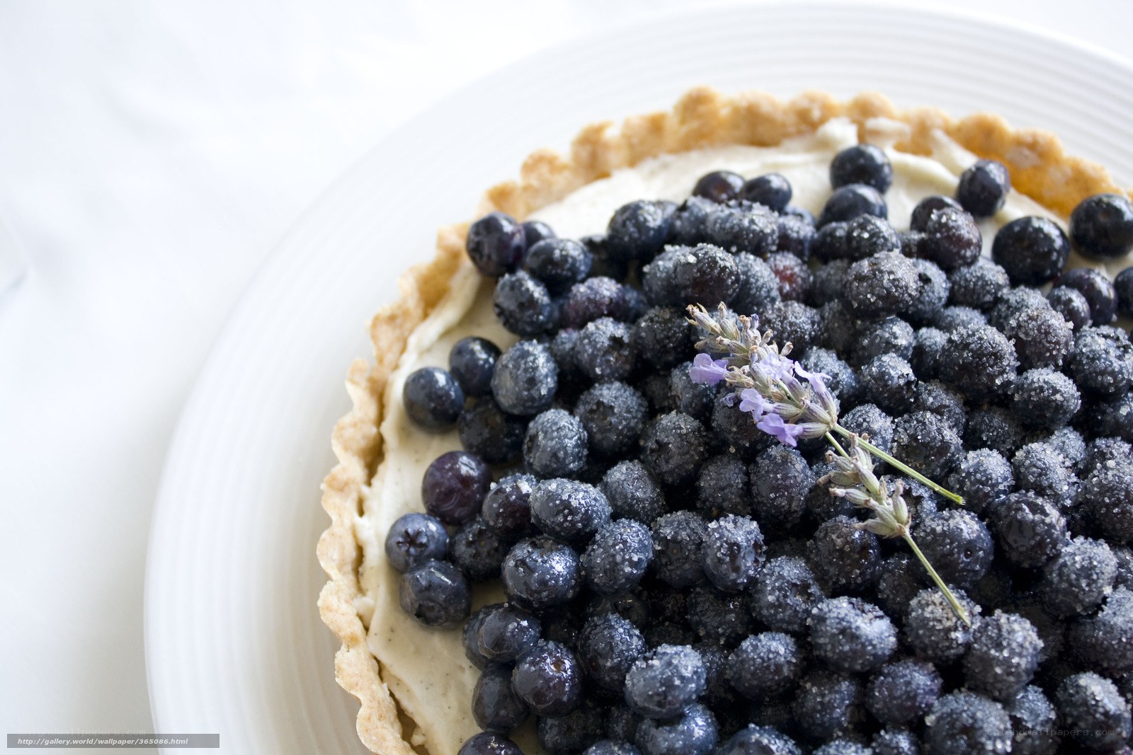 blueberry tart with lavender