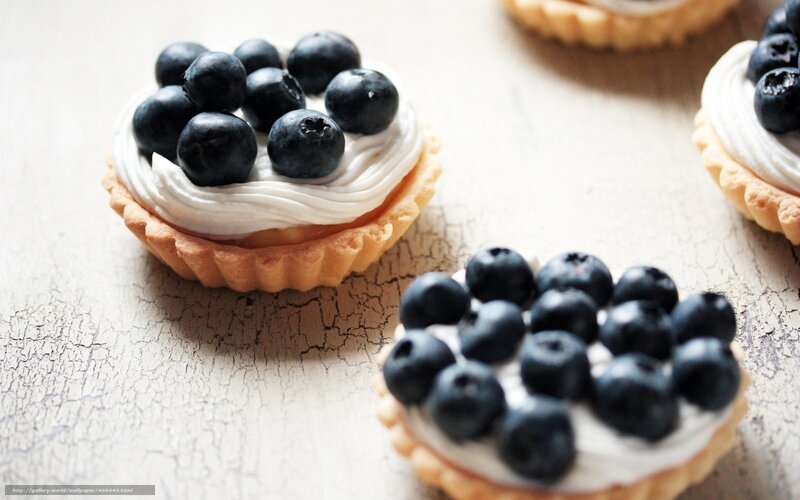 Blueberry Tarts on Table — White, Calm