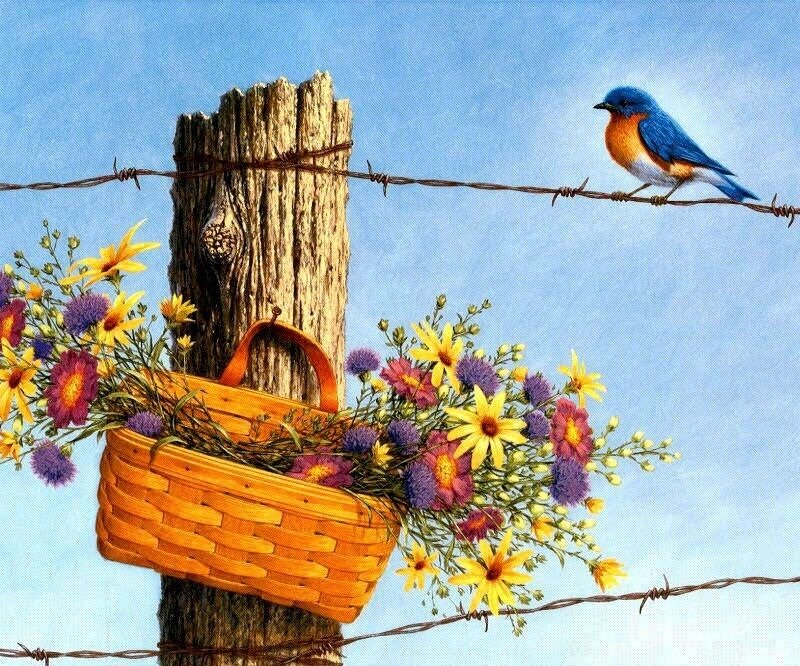 Bluebird on Barbed Wire — Blue