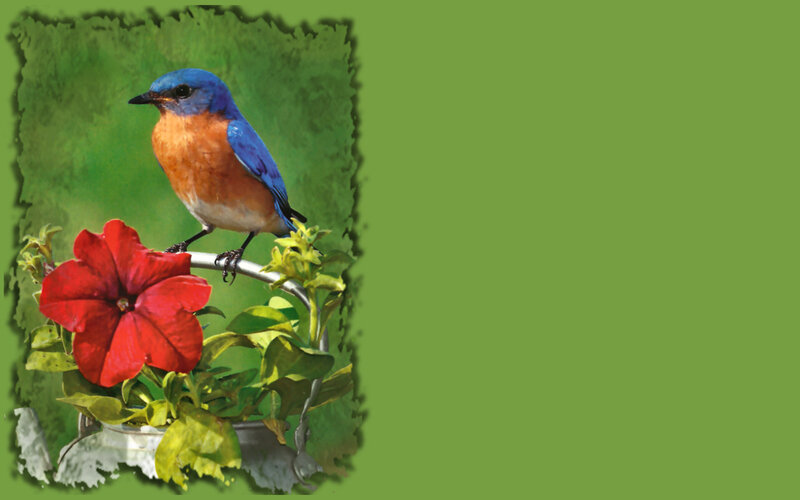 Bluebird on Flower — Green