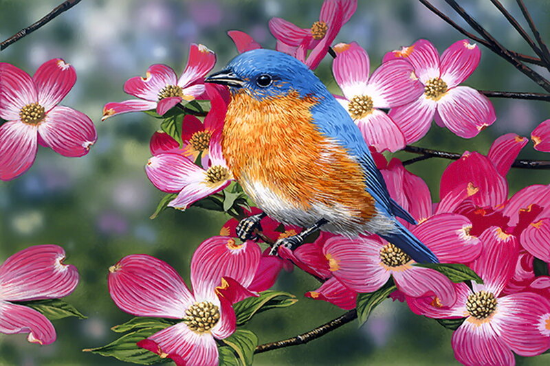 Bluebird on Flowering Branch — Blue, Serene, Spring, Illustration