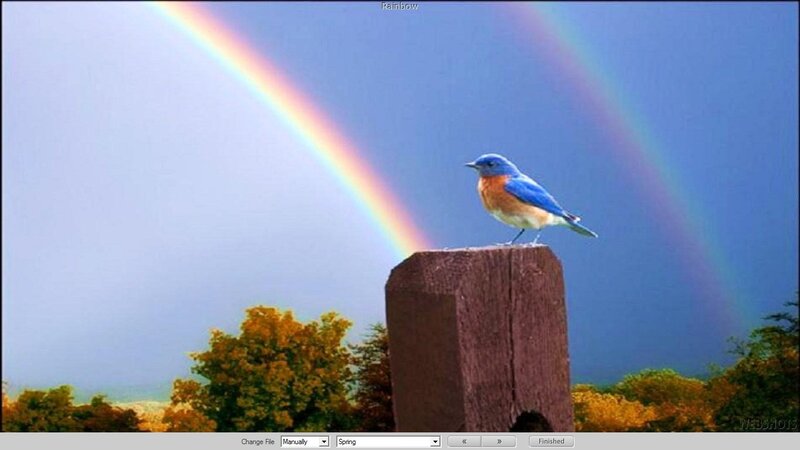 Bluebird on Post — Blue, Serene