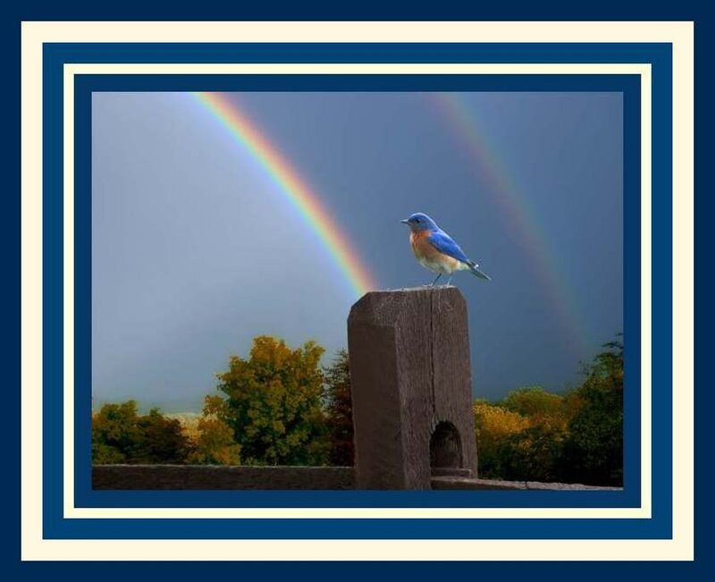Bluebird on Post