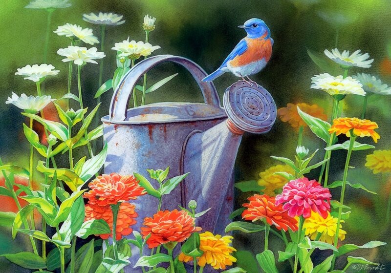 Bluebird on Watering Can