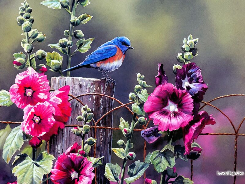 Bluebird on Wooden Post — Blue, Serene